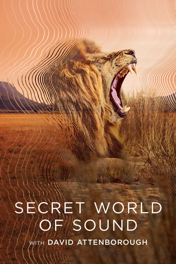 Poster phim David Attenborough: Thế giới bí mật của âm thanh trên Xem Phim Fun