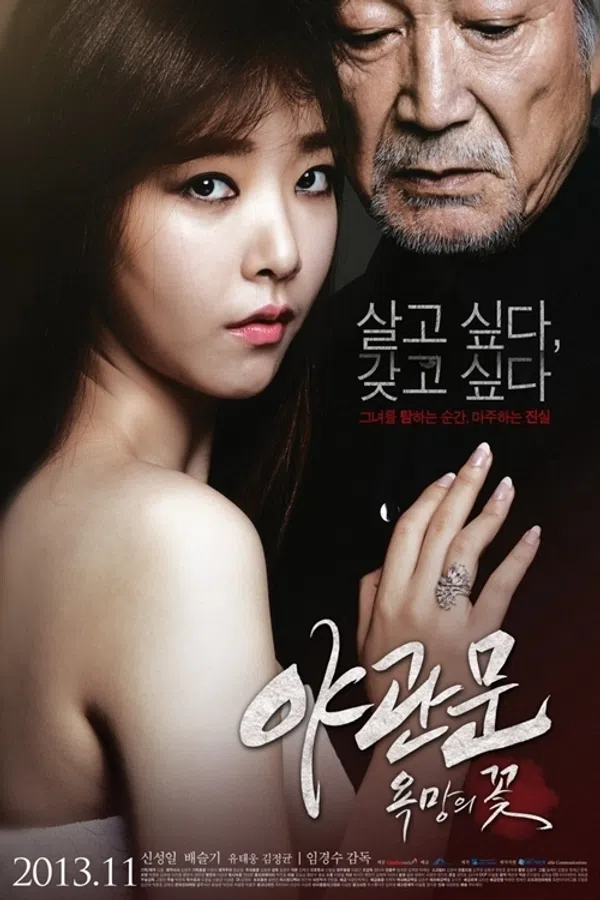 Xem Phim Door To The Night Vietsub HD Online