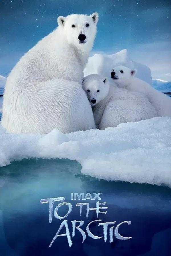 Xem Phim Hành Trình Đến Bắc Cực Vietsub HD Online