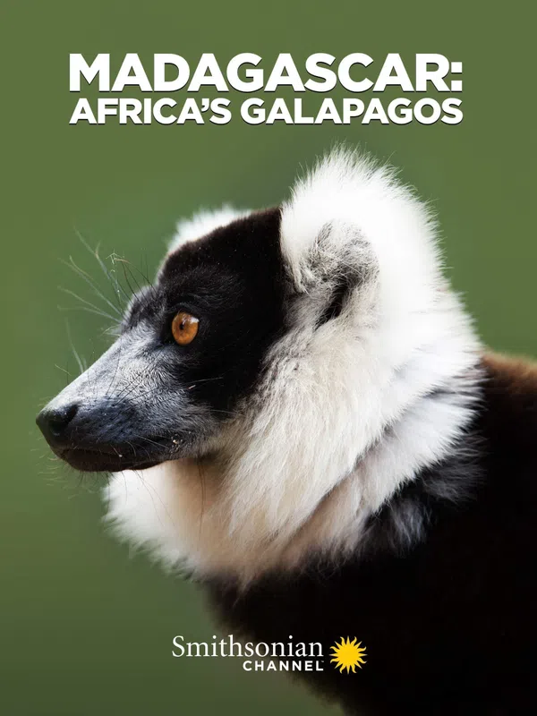Xem Phim Madagascar: Africa's Galapagos Vietsub HD Online