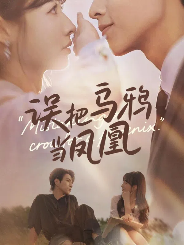 Poster phim Nhầm Quạ Với Phượng Hoàng trên Xem Phim Fun