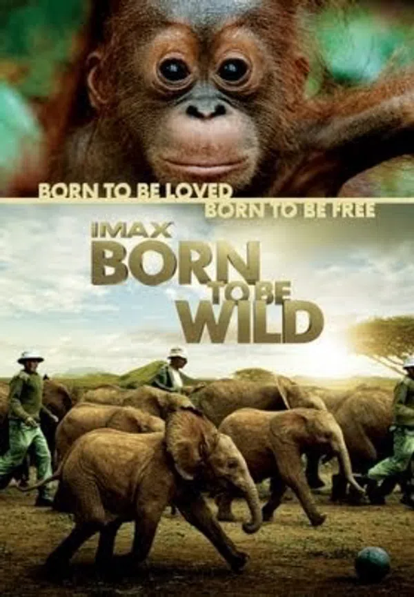 Xem Phim Những Loài Vật Mồ Côi Vietsub HD Online