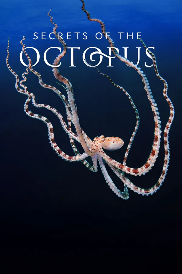 Xem Phim Secrets of the Octopus Vietsub HD Online