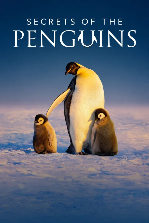 Poster phim Secrets of the Penguins trên Xem Phim Fun