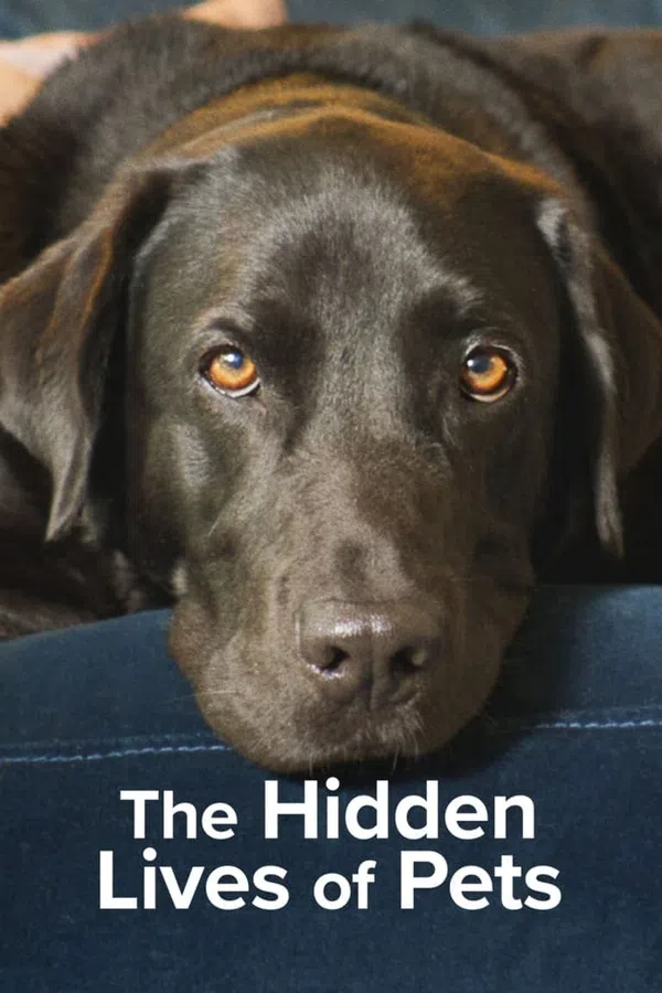 Xem Phim The Secret Life of Our Pets Vietsub HD Online