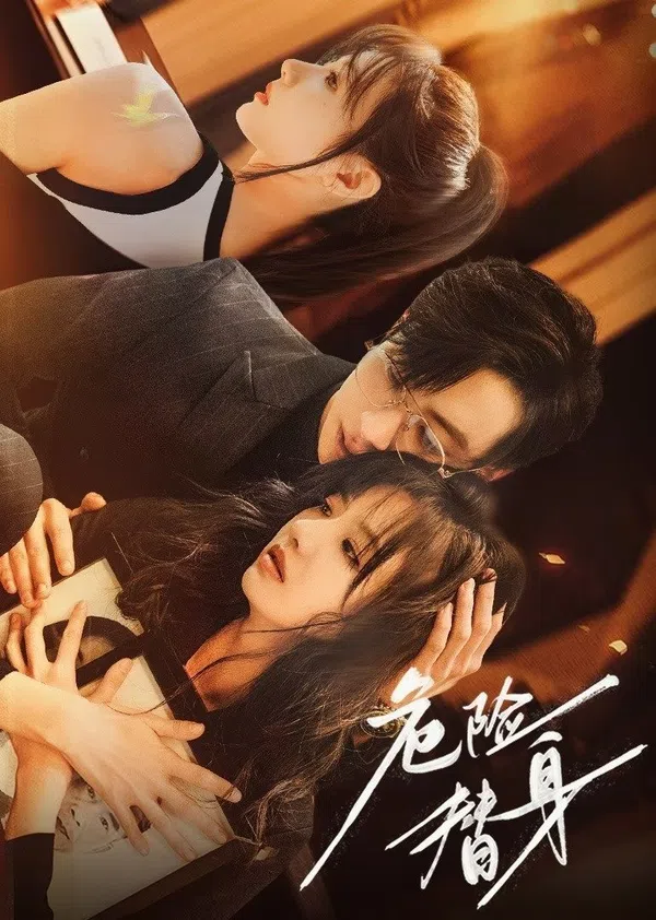 Xem Phim Thế Thân Nguy Hiểm Vietsub HD Online