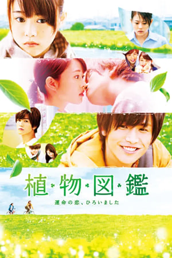 Xem Phim Tình Yêu Mãi Xanh Vietsub HD Online